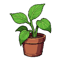 venus flytrap  tiny seedling