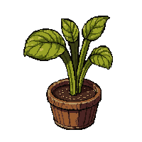 venus flytrap  wilting dried