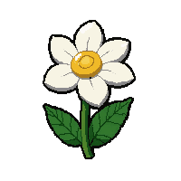 white daisy  enchanted sparkle