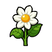 white daisy  tiny seedling