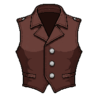 waistcoat embroidered  chocolate brown suede