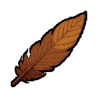 feather arrow flight  dried and preserved