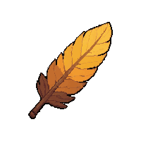 feather arrow flight  sun dried warm