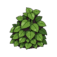 herb medicinal plant  abundant pile