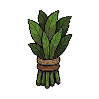 herb medicinal plant  bundled tied together