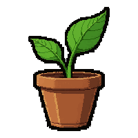 herb medicinal plant  in clay pot