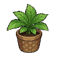 herb medicinal plant  in woven basket