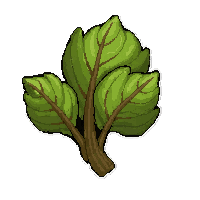 herb medicinal plant  moldy old spoiled