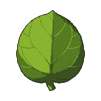 herb medicinal plant  plain ordinary