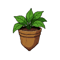 herb medicinal plant  wrapped for storage