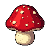 mushroom edible  abundant pile