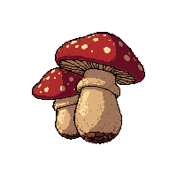 mushroom edible  bundled tied together