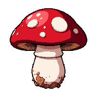 mushroom edible  common easy find