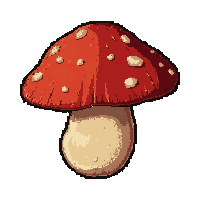 mushroom edible  dried and preserved