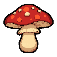 mushroom edible  freshly gathered