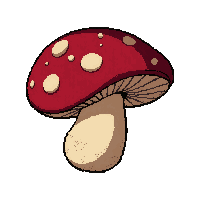 mushroom edible  loose scattered
