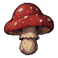 mushroom edible  moldy old spoiled