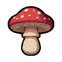 mushroom edible  rare hard to find