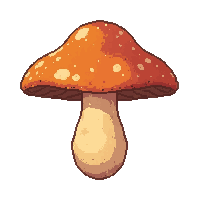 mushroom edible  sun dried warm