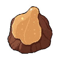 resin tree sap  dried and preserved