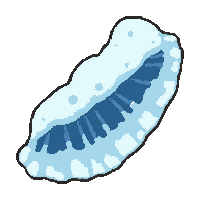 shell animal bone  frozen cold