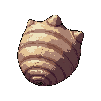shell animal bone  moldy old spoiled