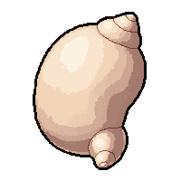 shell animal bone  plain ordinary