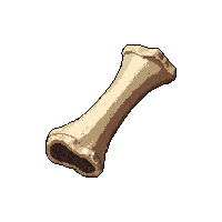 shell animal bone  wet and damp
