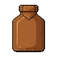 water skin canteen  in leather pouch