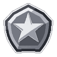 star badge  silver
