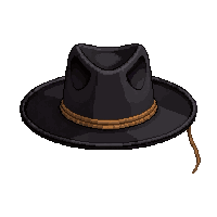 cowboy hat stetson  desperado dark