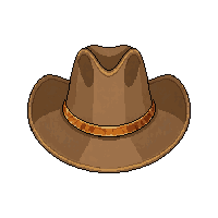 cowboy hat stetson  lawman official
