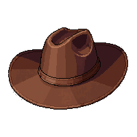 cowboy hat stetson  outlaw marked stolen