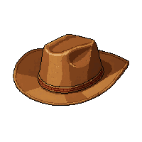 cowboy hat stetson  polished sunday best