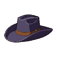 cowboy hat stetson  silver detailed