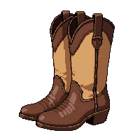 spurs boot pair  native decorated