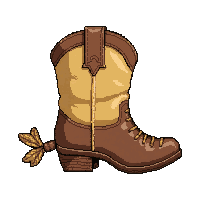 spurs boot pair  polished sunday best