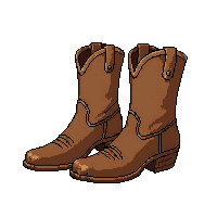 spurs boot pair  ranch hand working