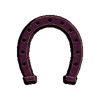 horseshoe thrown  custom modified