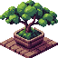 runvideos 151 bonsai