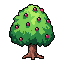 runvideos 161 bush berry