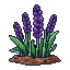 runvideos 162 flower purple