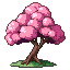 runvideos 163 tree cherry