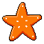 runvideos 62 starfish