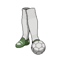 white socks  tournament grade