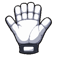 white goalie gloves  tournament official