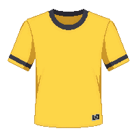 yellow team  championship winning