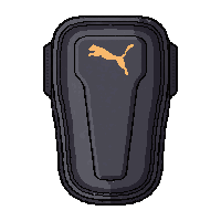 puma future  training base model