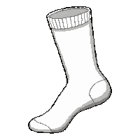 white crew  cushioned sole