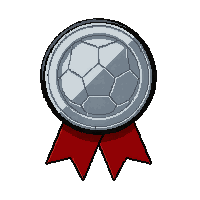 silver medal on ribbon  fresh pristine